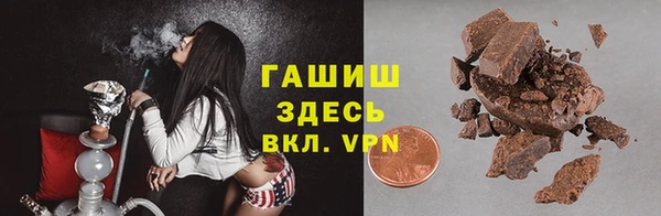 твердый Новозыбков