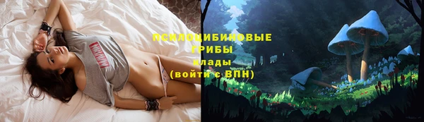 винт Новокубанск