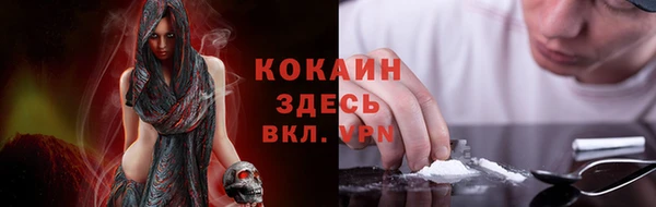 твердый Новозыбков