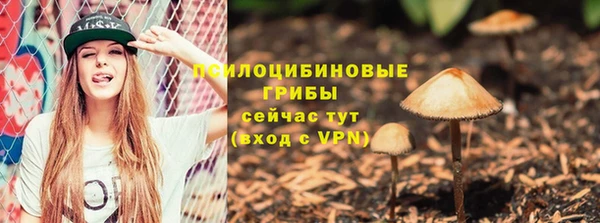 твердый Новозыбков
