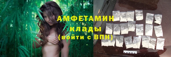 твердый Новозыбков