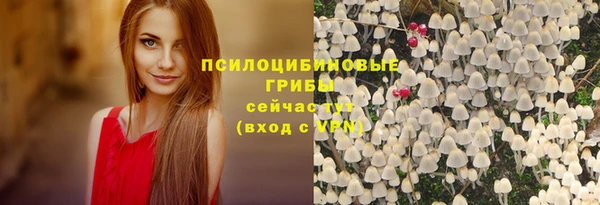 винт Новокубанск