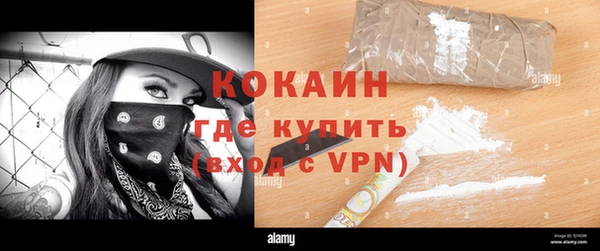 твердый Новозыбков