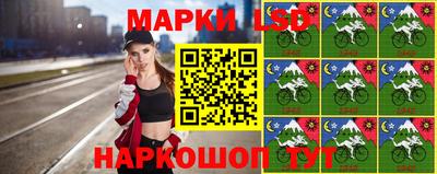 mdpv Гатчина