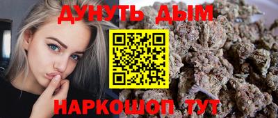 mdpv Гатчина