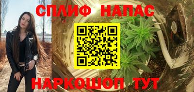 mdpv Гатчина