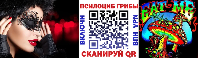дарнет шоп  Знаменск  Галлюциногенные грибы Psilocybe 
