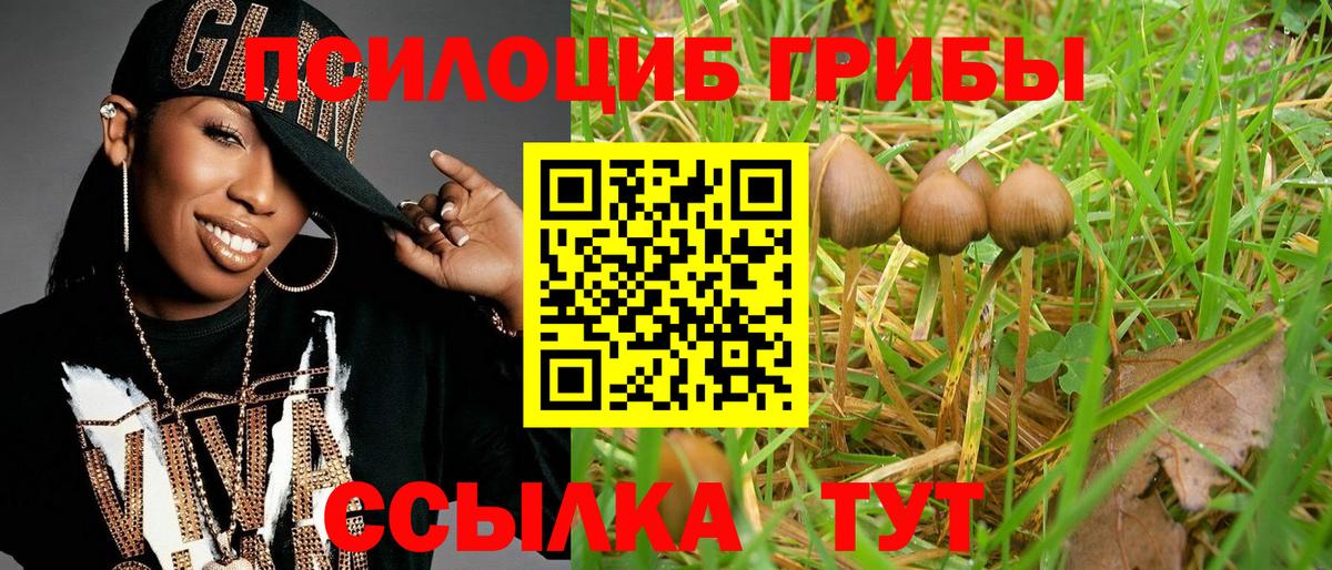 цены   Галлюциногенные грибы мухоморы  Вход с VPN  Знаменск 